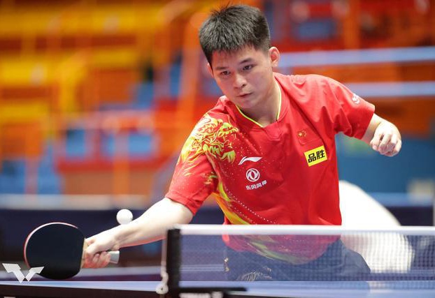 韦特的回归 韦特的回归