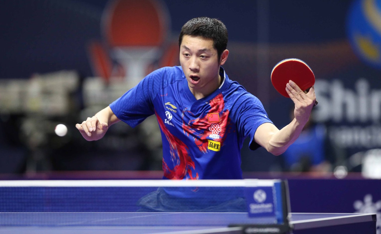 显了他在国 显了他在国